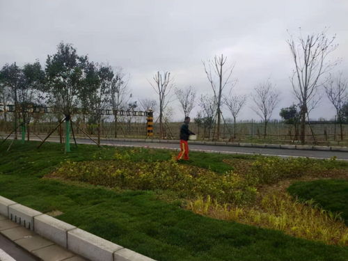 興平首條海綿城市設(shè)施道路通過驗收