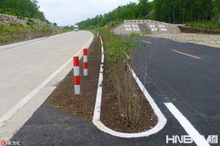 黑土地上勁吹 綠色風 黑河綠色農(nóng)業(yè)發(fā)展見聞