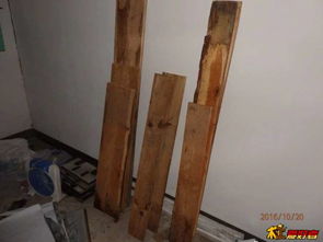從指尖雕琢到棲息之所 現代木工DIY的愛屋及鳥之情